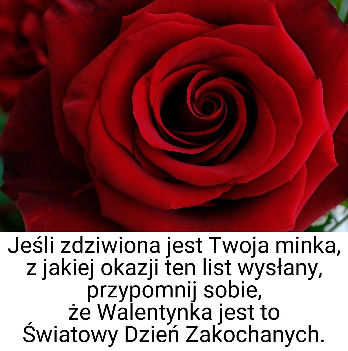 Jeśli zdziwiona jest Twoja minka, z jakiej okazji ten list