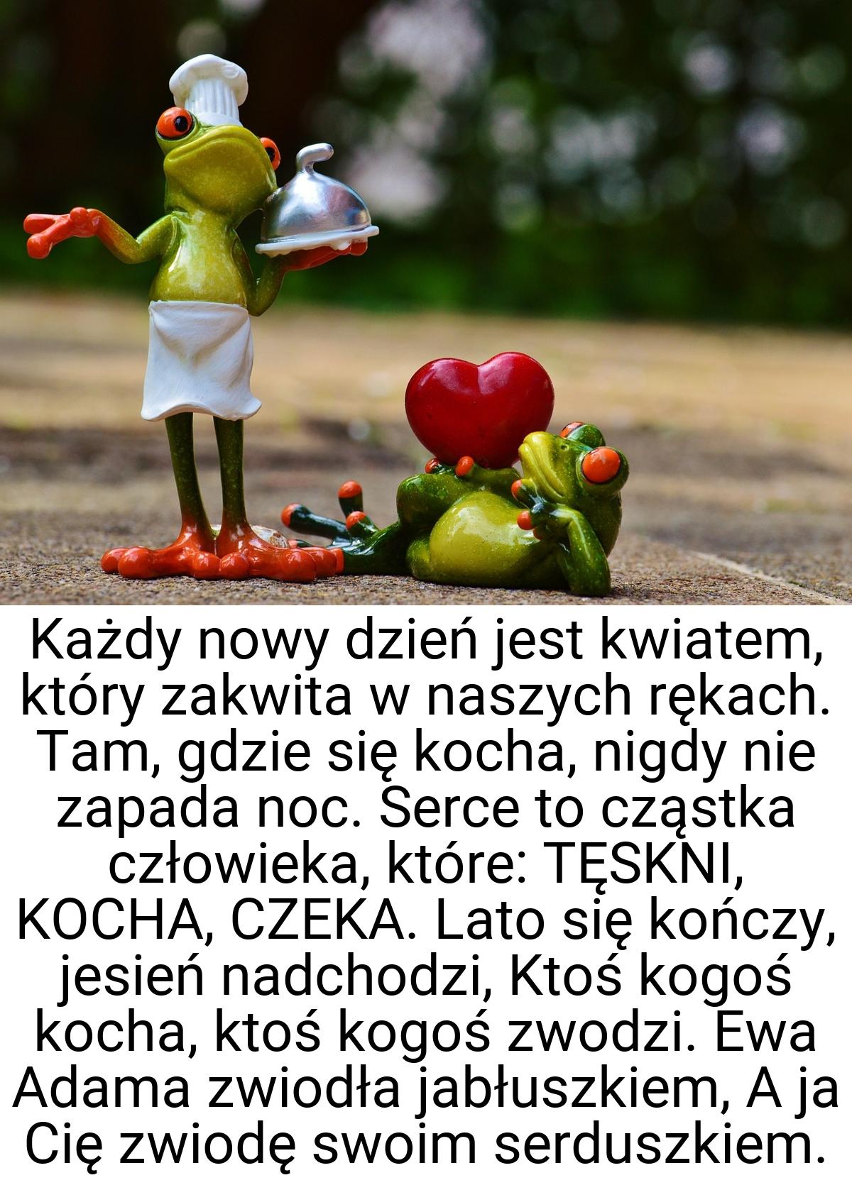 Każdy nowy dzień jest kwiatem, który zakwita w naszych