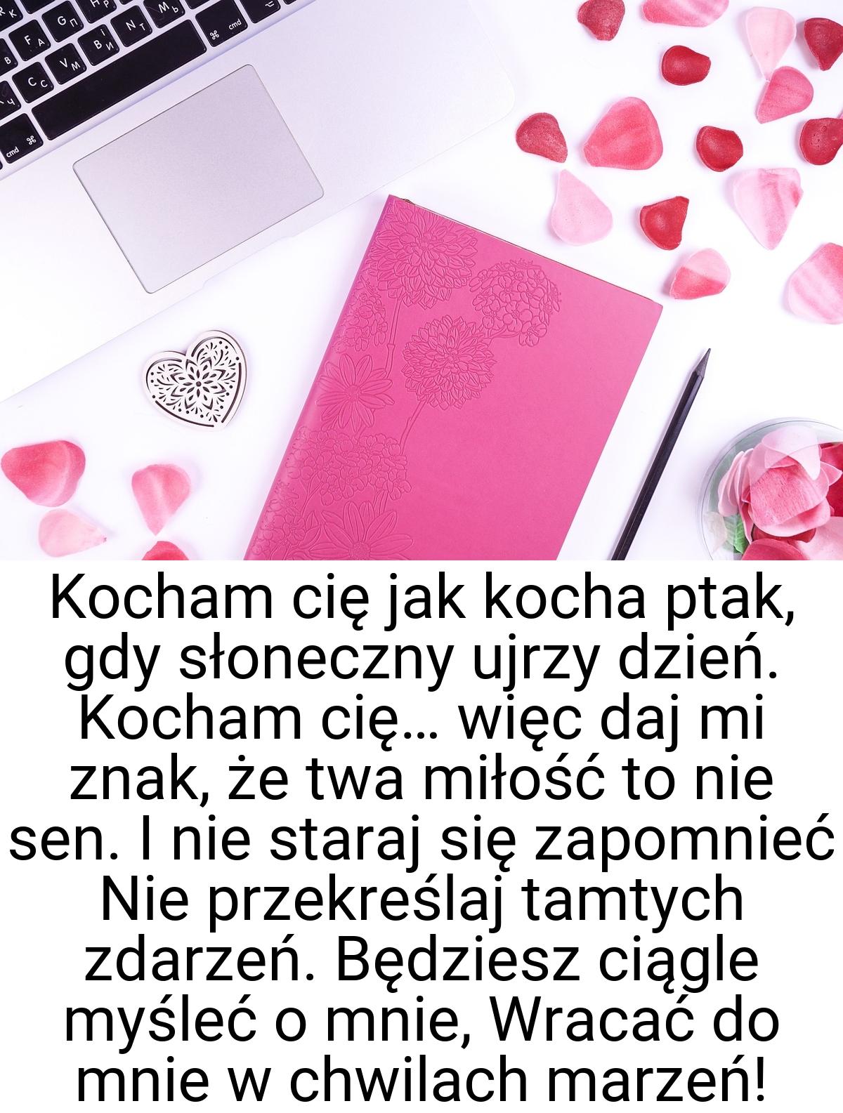 Kocham cię jak kocha ptak, gdy słoneczny ujrzy dzień