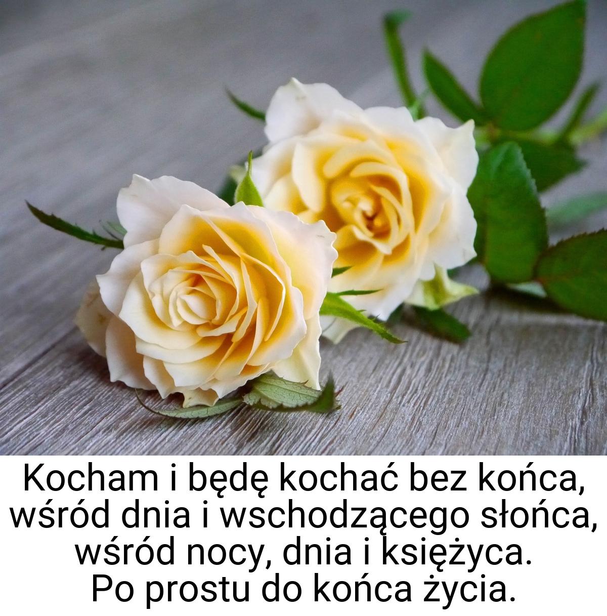 Kocham i będę kochać bez końca, wśród dnia i wschodzącego