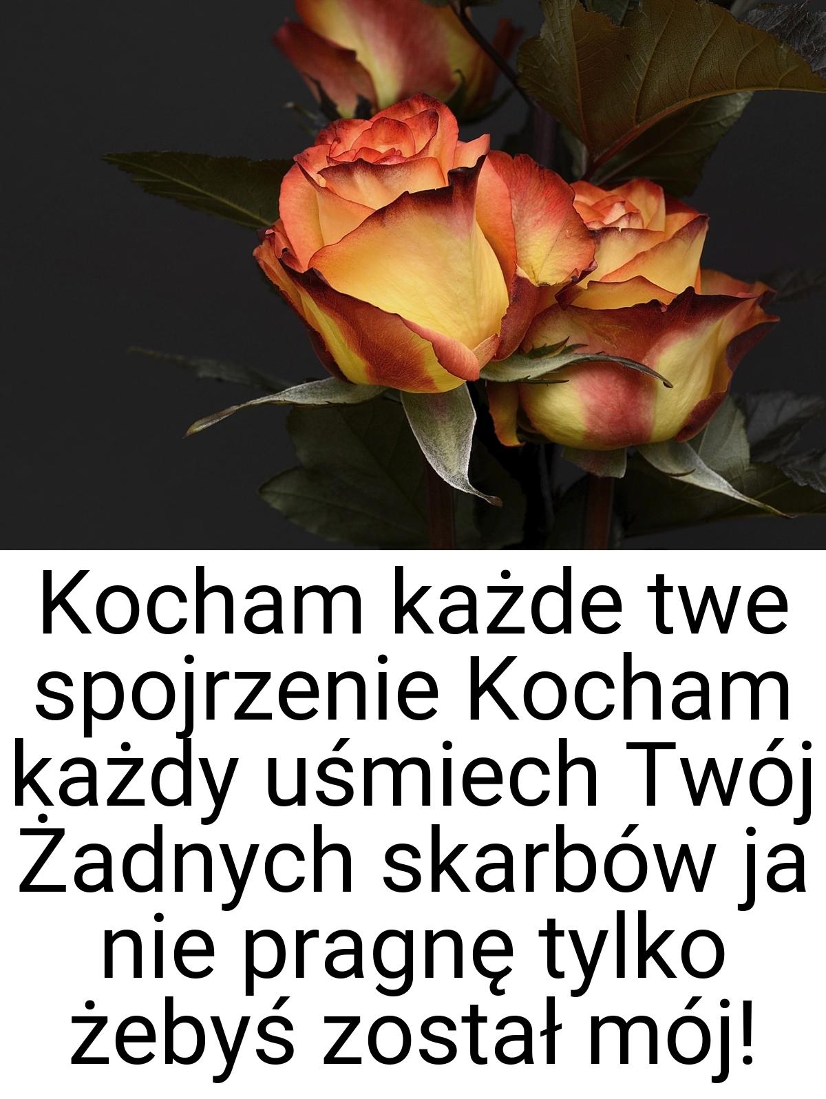 Kocham każde twe spojrzenie Kocham każdy uśmiech Twój