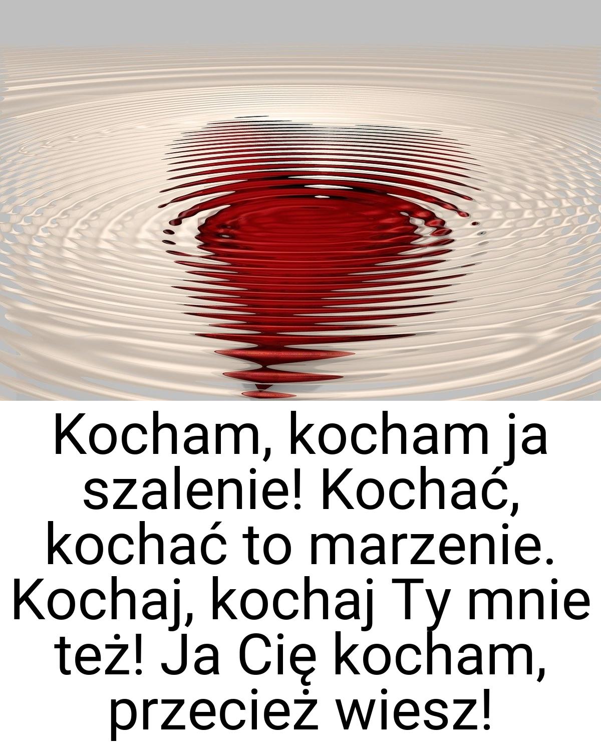 Kocham, kocham ja szalenie! Kochać, kochać to marzenie