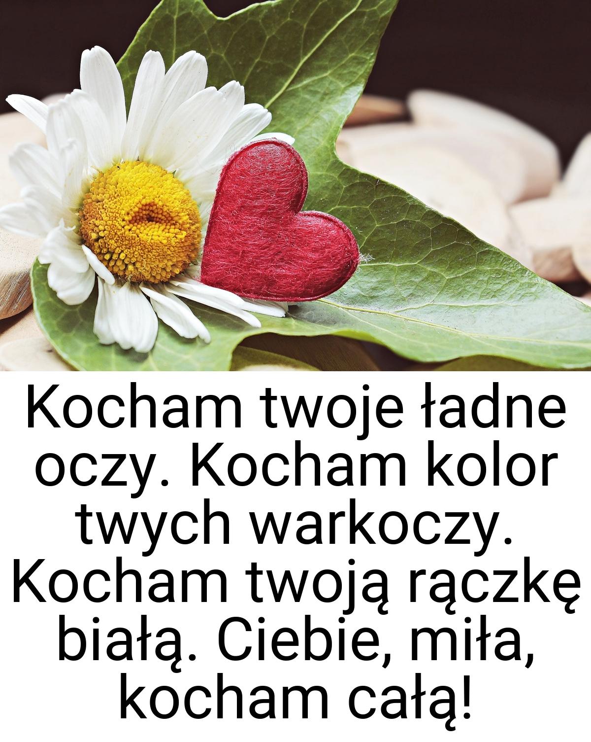 Kocham twoje ładne oczy. Kocham kolor twych warkoczy