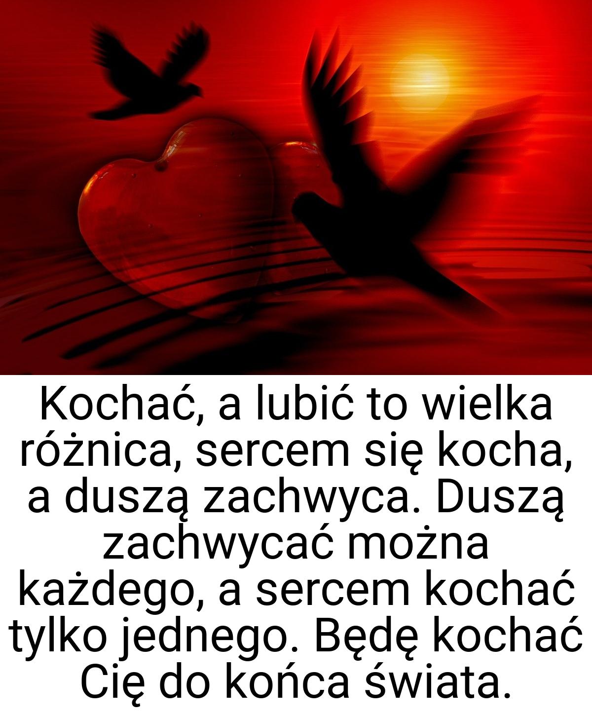 Kochać, a lubić to wielka różnica, sercem się kocha, a