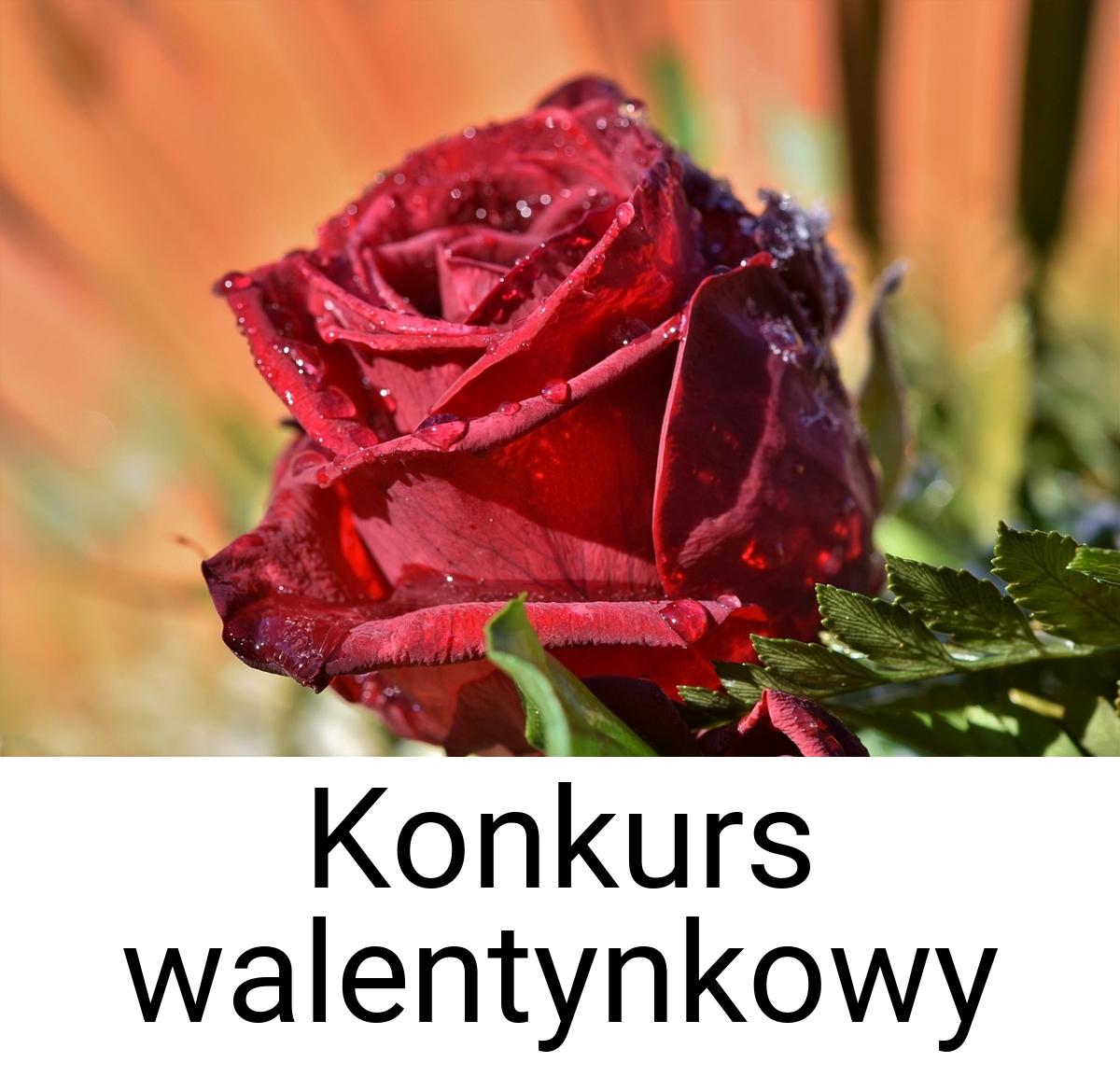 Konkurs walentynkowy