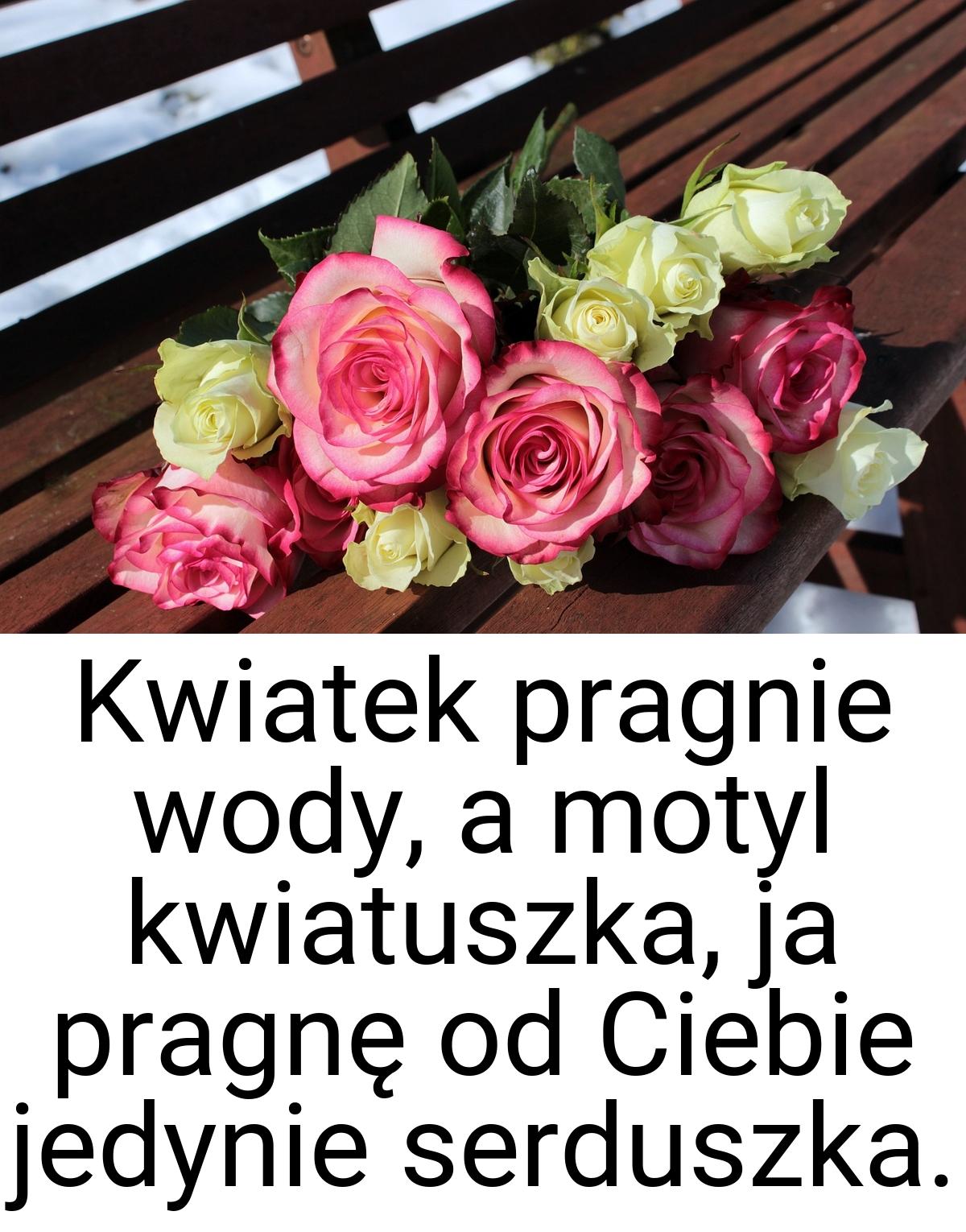 Kwiatek pragnie wody, a motyl kwiatuszka, ja pragnę od