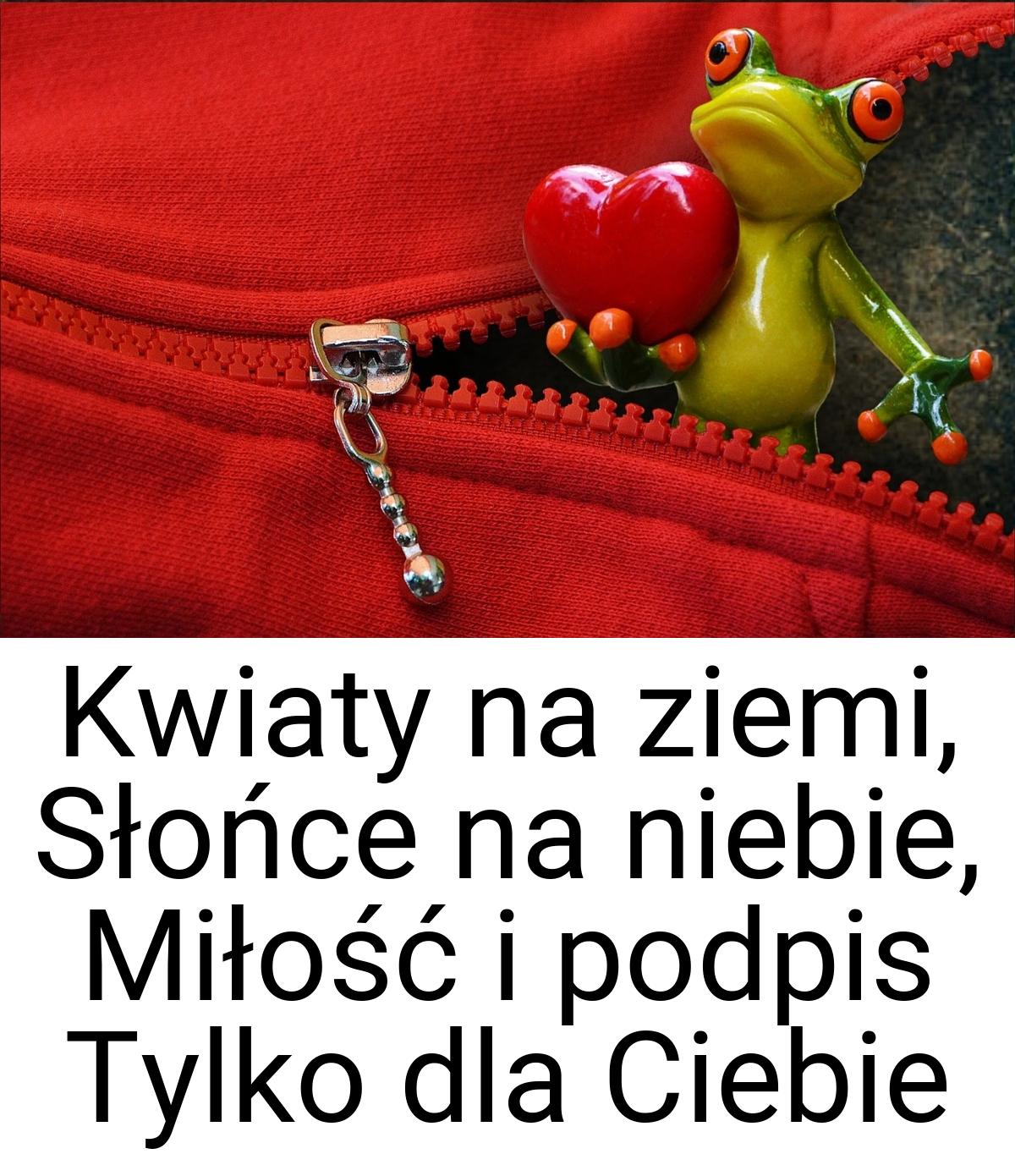 Kwiaty na ziemi, Słońce na niebie, Miłość i podpis Tylko