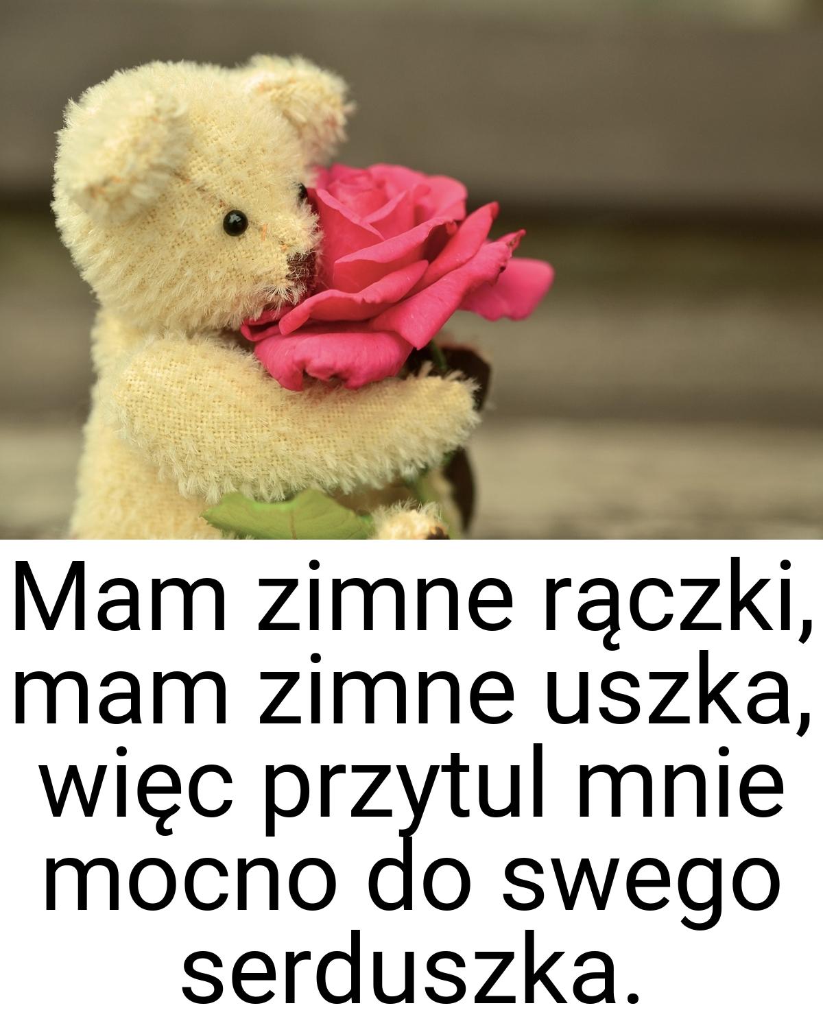 Mam zimne rączki, mam zimne uszka, więc przytul mnie mocno