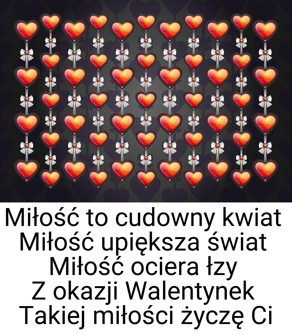 Miłość to cudowny kwiat Miłość upiększa świat Miłość ociera