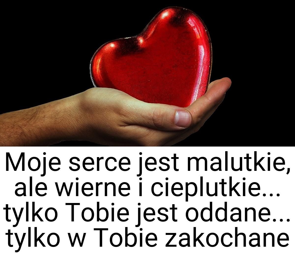 Moje serce jest malutkie, ale wierne i cieplutkie... tylko