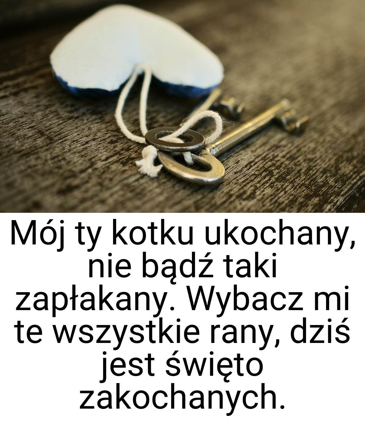 Mój ty kotku ukochany, nie bądź taki zapłakany. Wybacz mi