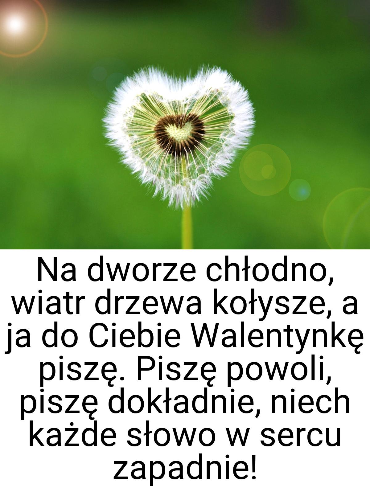 Na dworze chłodno, wiatr drzewa kołysze, a ja do Ciebie