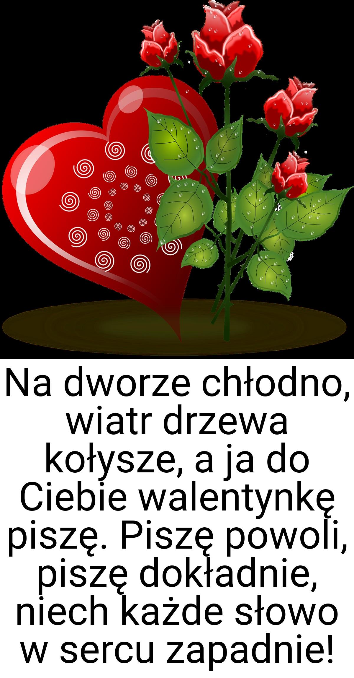 Na dworze chłodno, wiatr drzewa kołysze, a ja do Ciebie