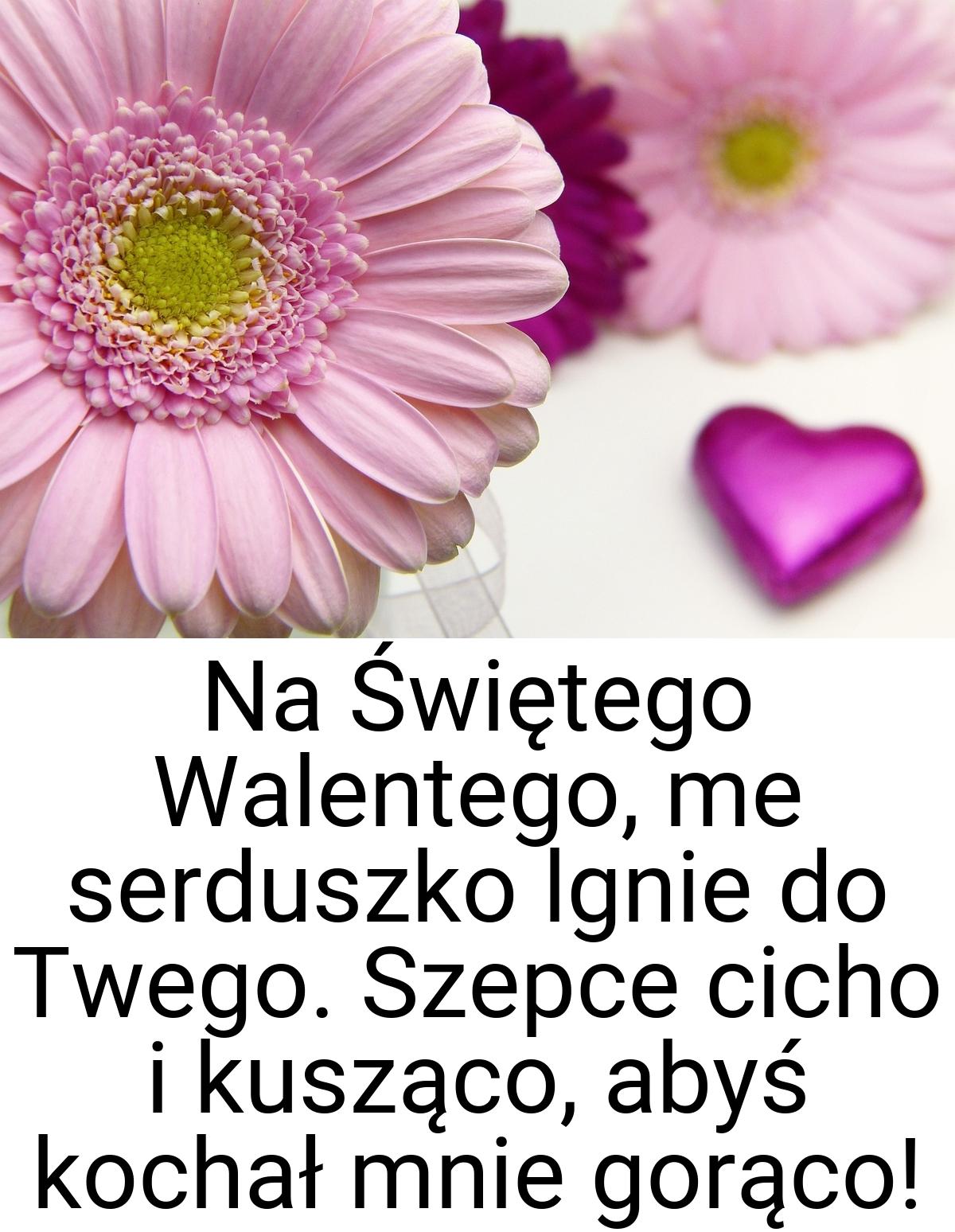 Na Świętego Walentego, me serduszko lgnie do Twego. Szepce