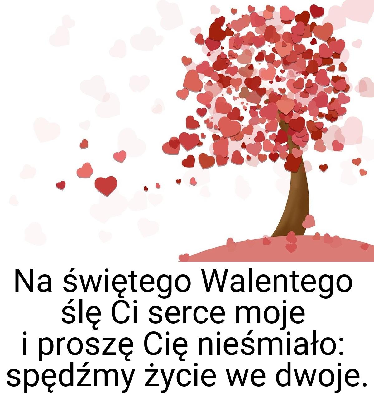 Na świętego Walentego ślę Ci serce moje i proszę Cię