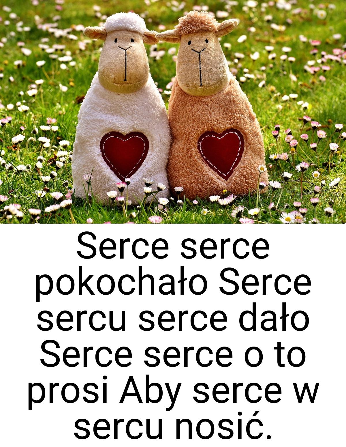 Serce serce pokochało Serce sercu serce dało Serce serce o