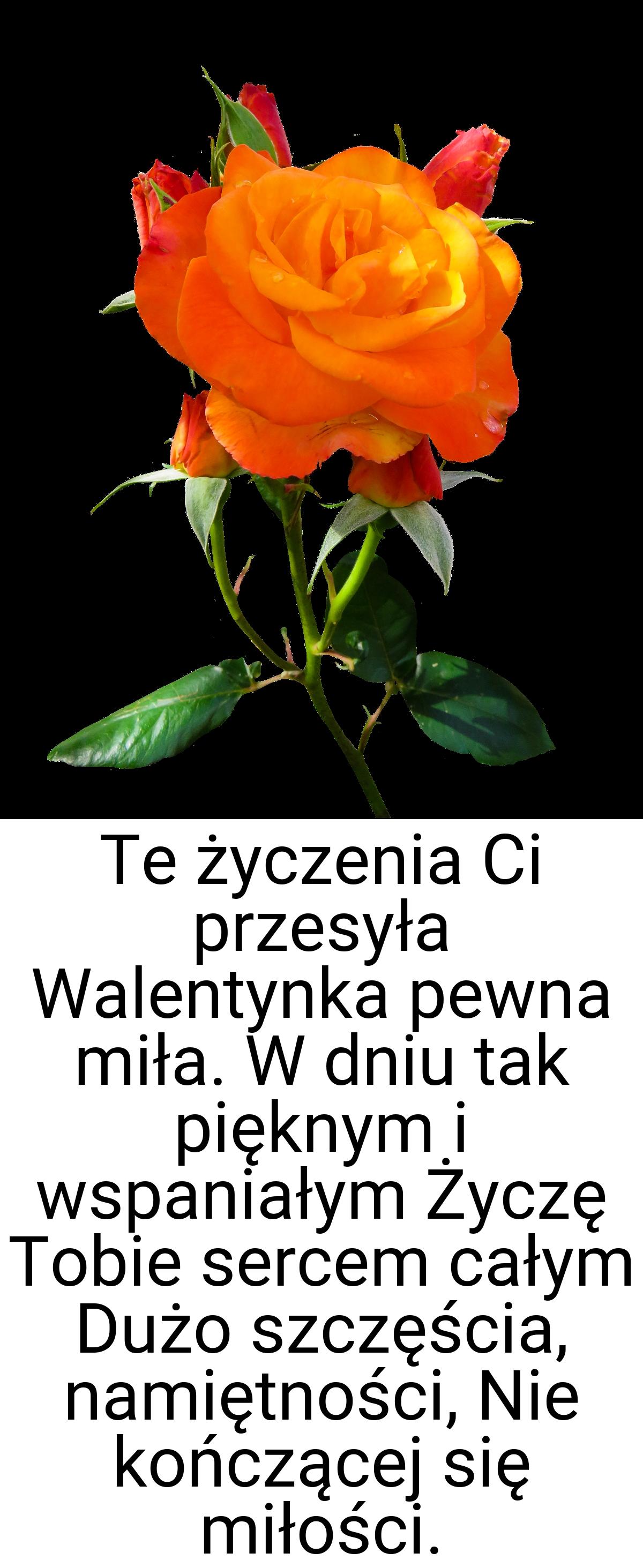 Te życzenia Ci przesyła Walentynka pewna miła. W dniu tak