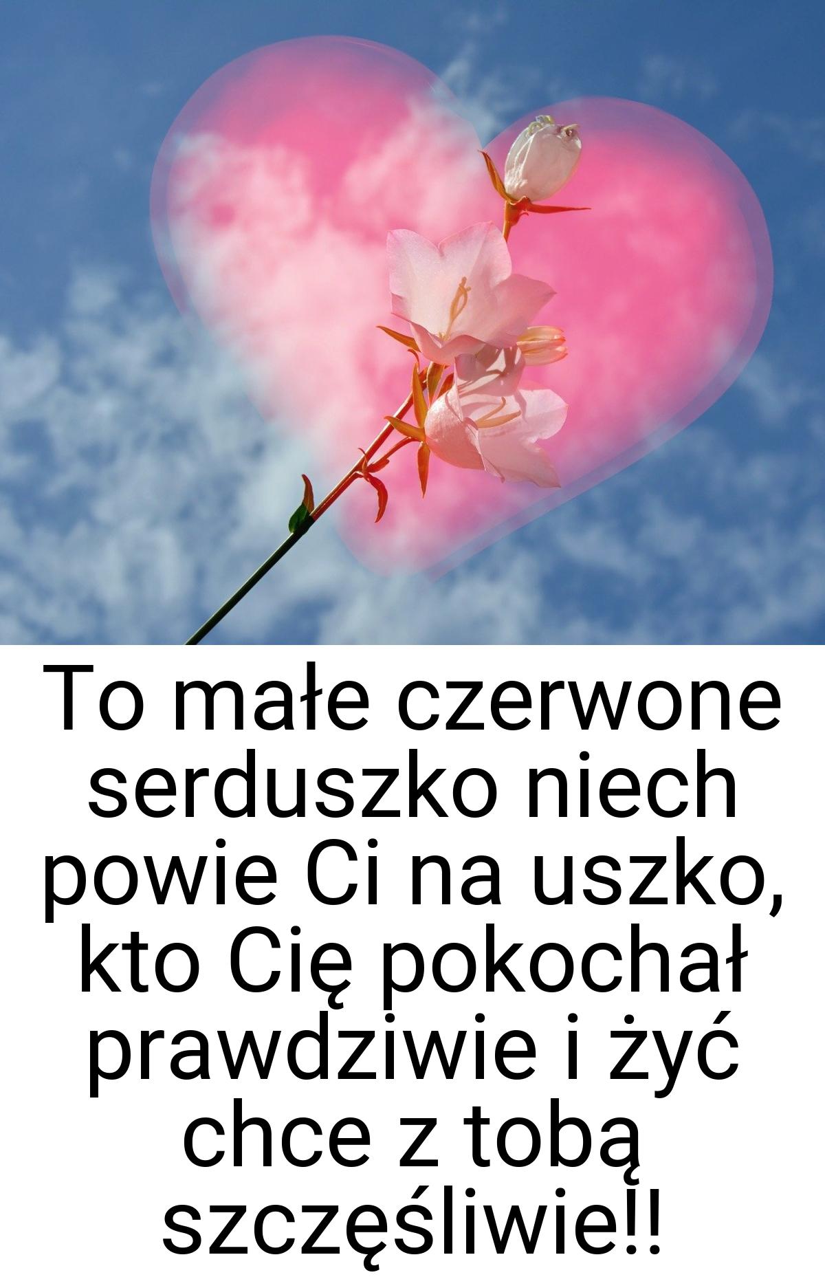 To małe czerwone serduszko niech powie Ci na uszko, kto Cię