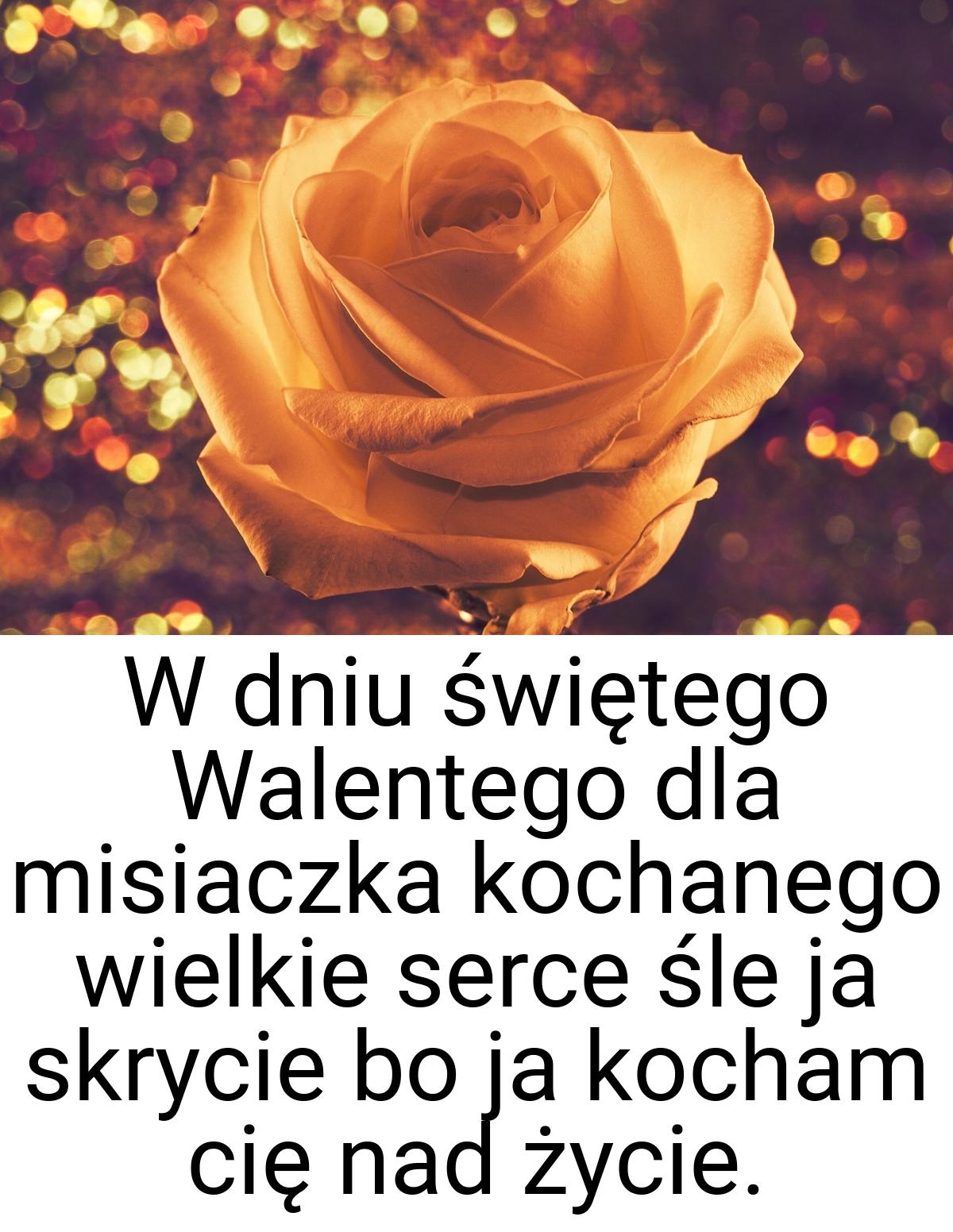 W dniu świętego Walentego dla misiaczka kochanego wielkie