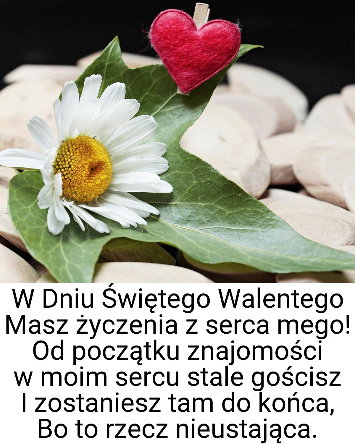 W Dniu Świętego Walentego Masz życzenia z serca mego! Od