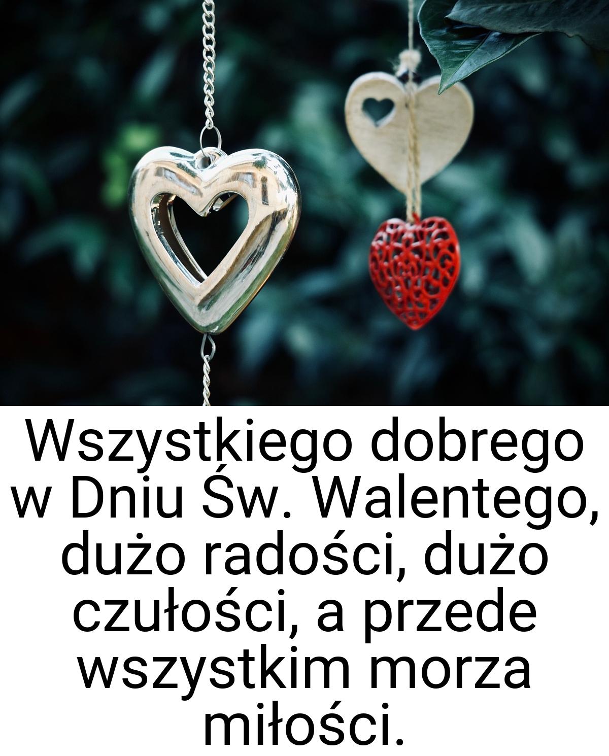 Wszystkiego dobrego w Dniu Św. Walentego, dużo radości