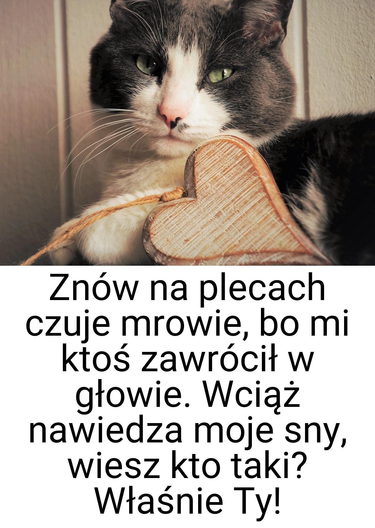 Znów na plecach czuje mrowie, bo mi ktoś zawrócił w głowie