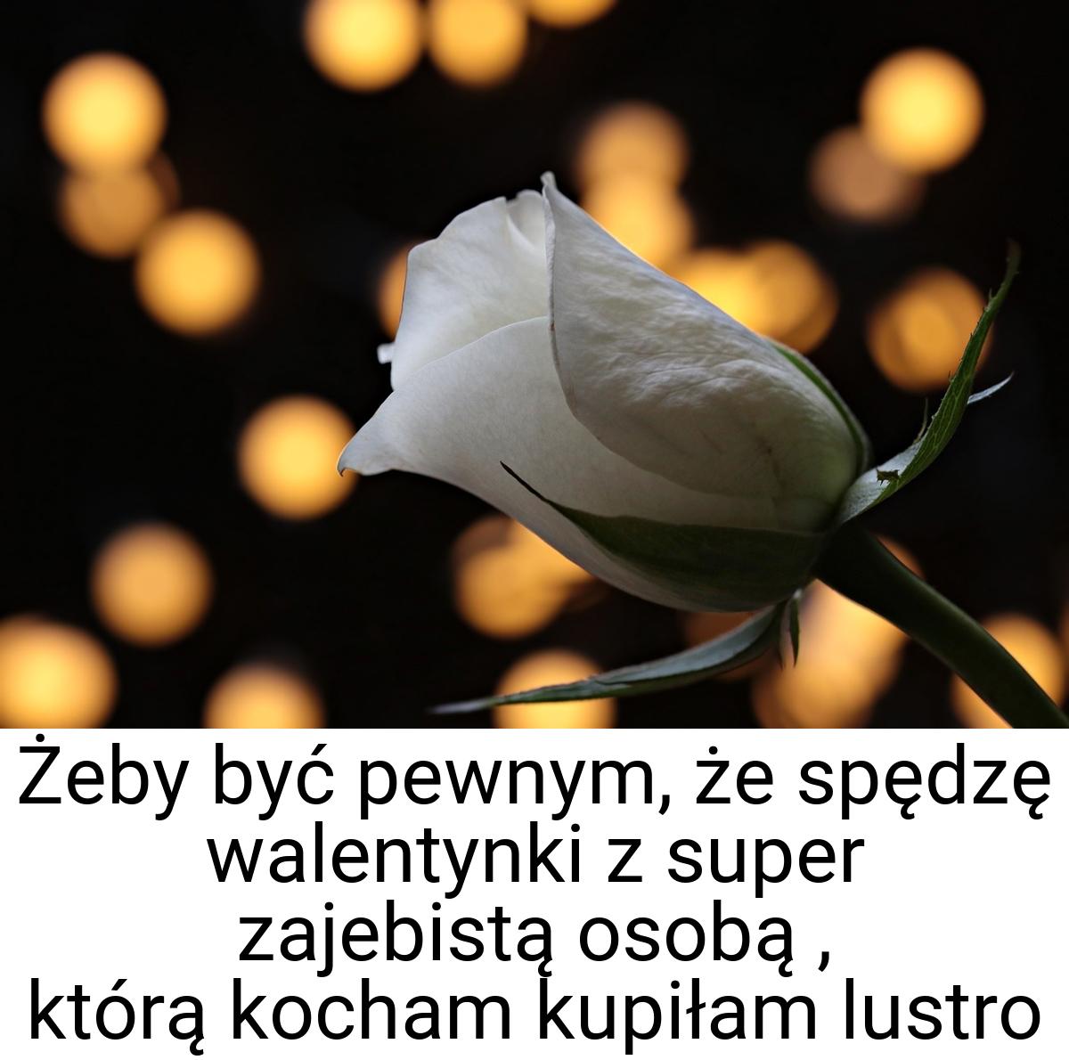 Żeby być pewnym, że spędzę walentynki z super zajebistą