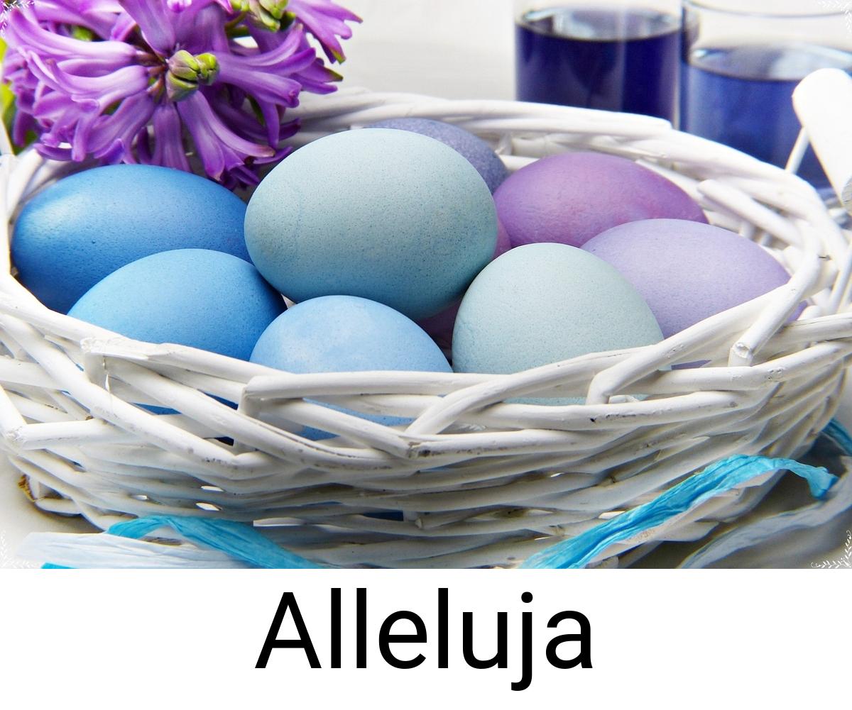 Alleluja