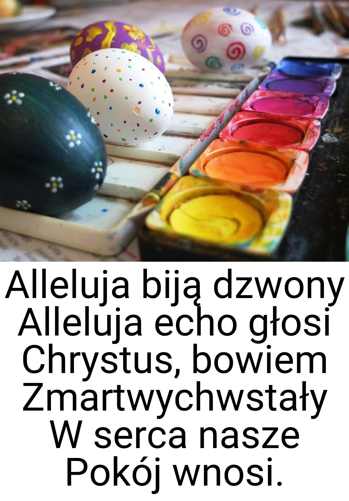 Alleluja biją dzwony Alleluja echo głosi Chrystus, bowiem