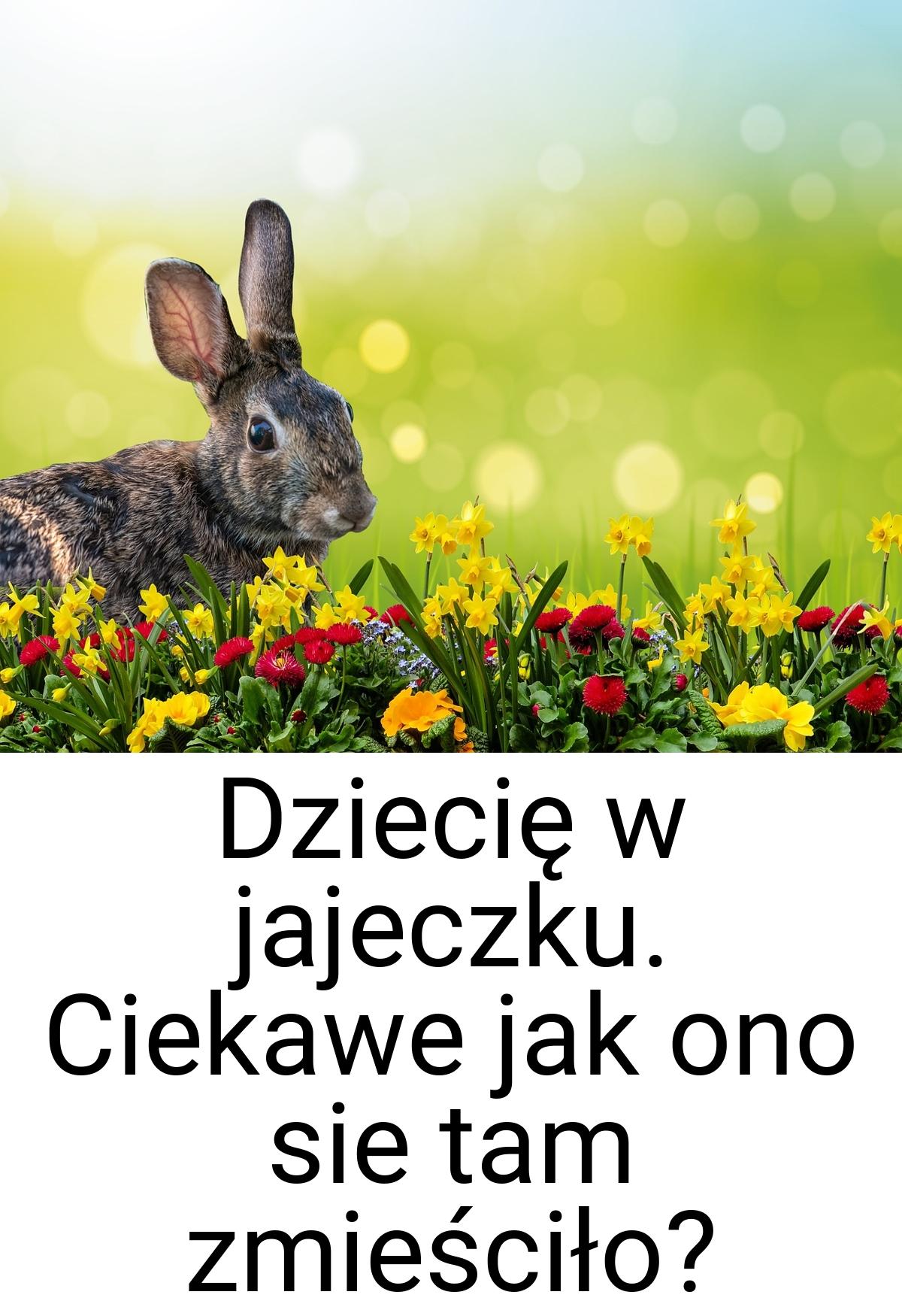 Dziecię w jajeczku. Ciekawe jak ono sie tam zmieściło