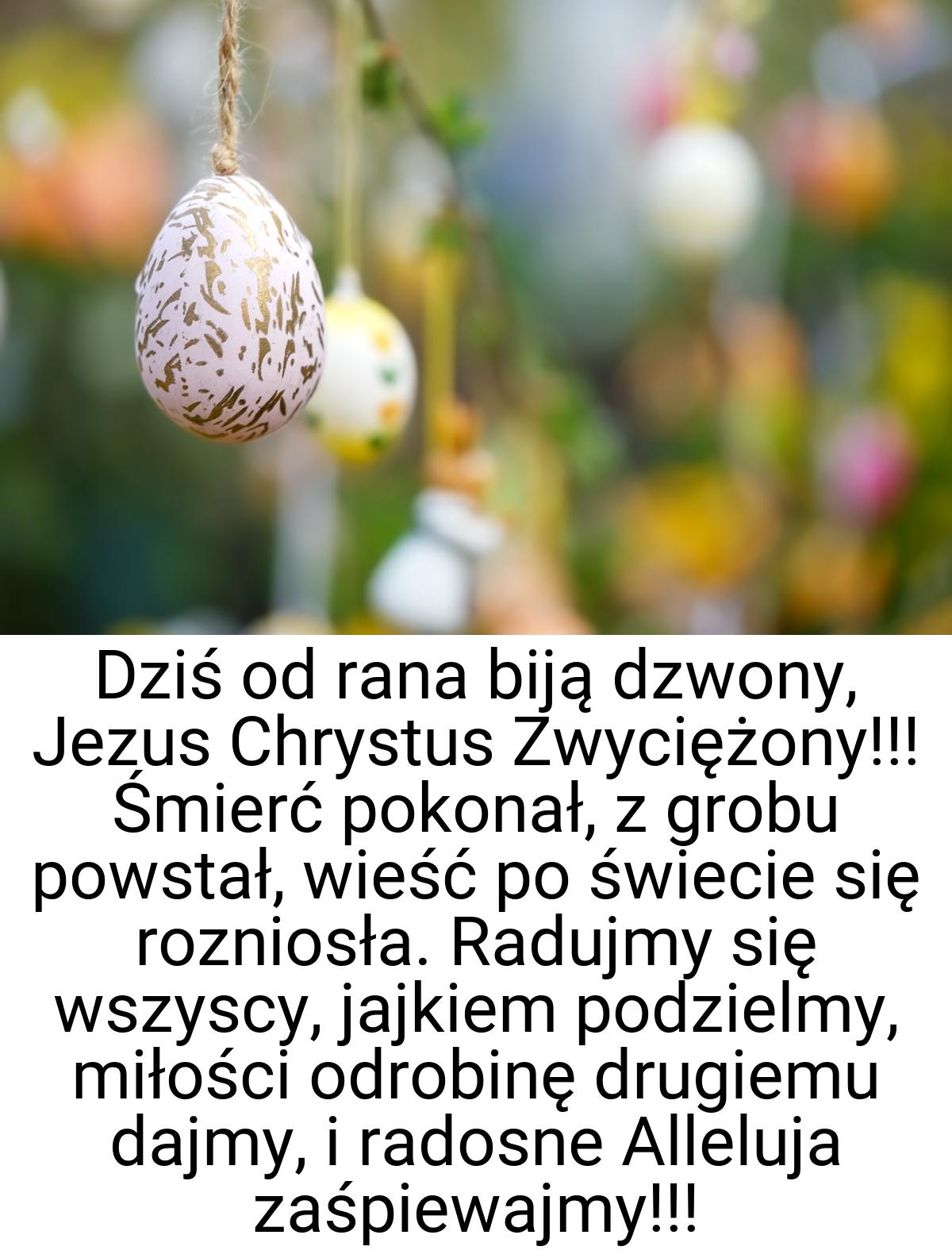 Dziś od rana biją dzwony, Jezus Chrystus Zwyciężony