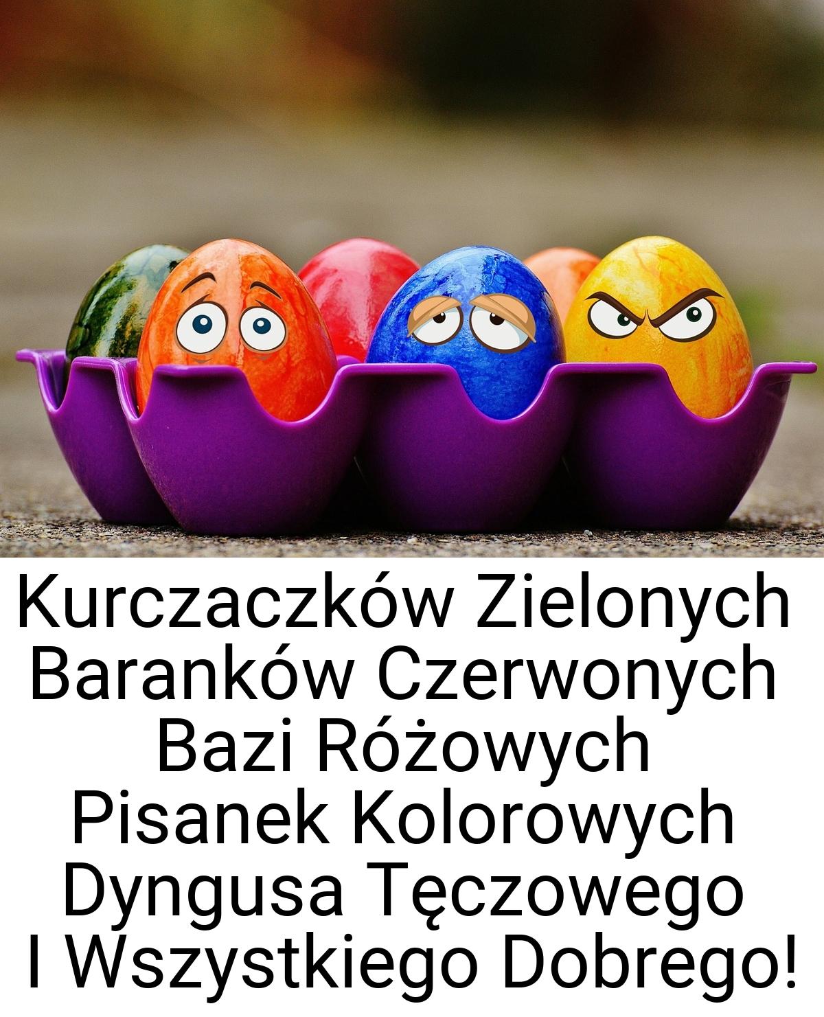 Kurczaczków Zielonych Baranków Czerwonych Bazi Różowych