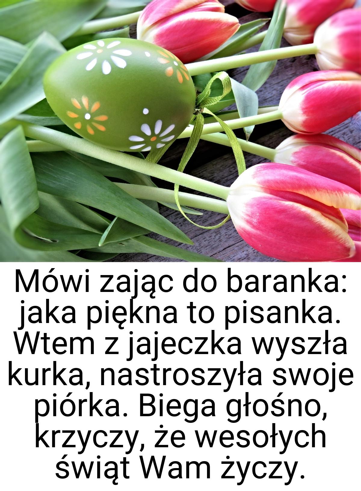 Mówi zając do baranka: jaka piękna to pisanka. Wtem z