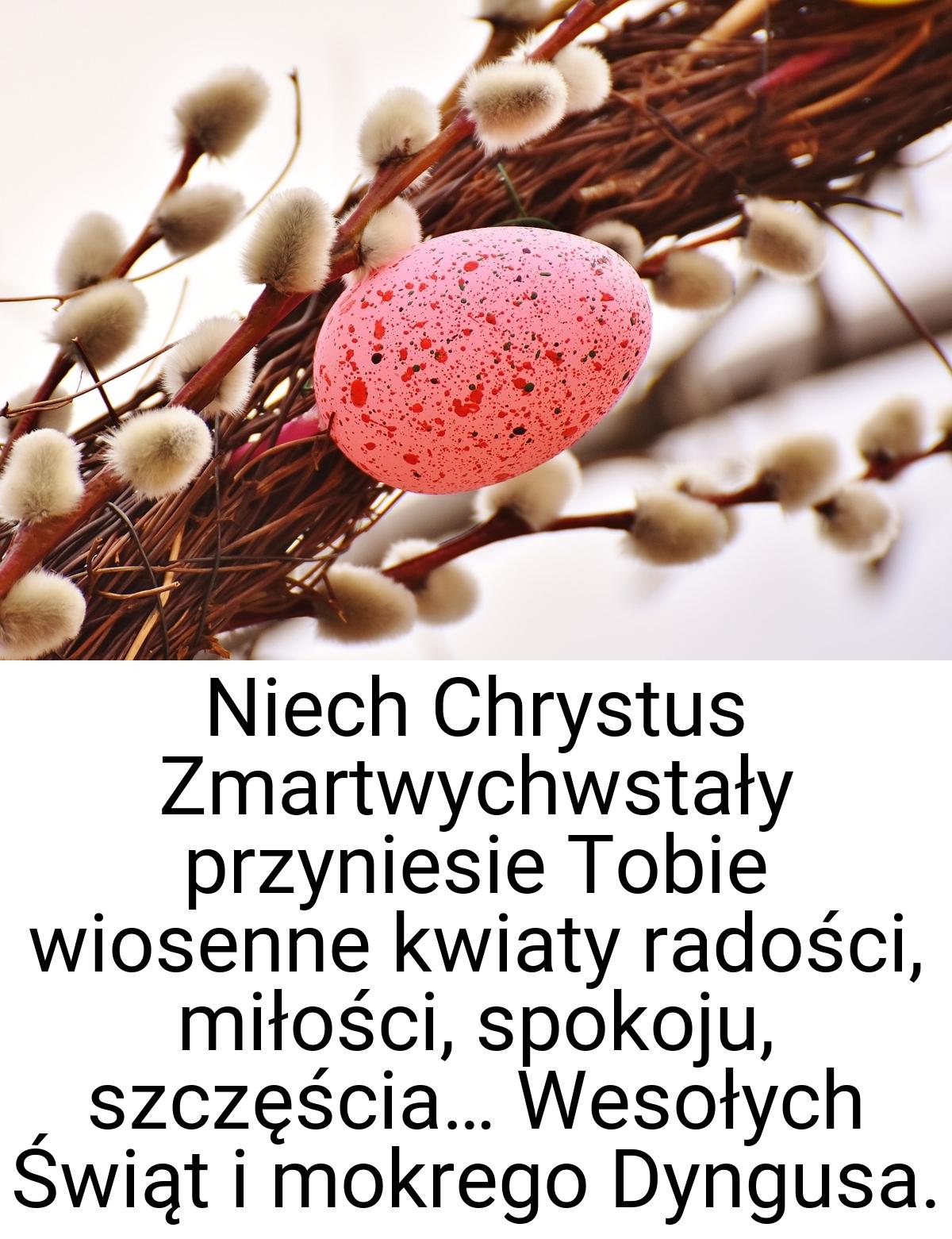 Niech Chrystus Zmartwychwstały przyniesie Tobie wiosenne