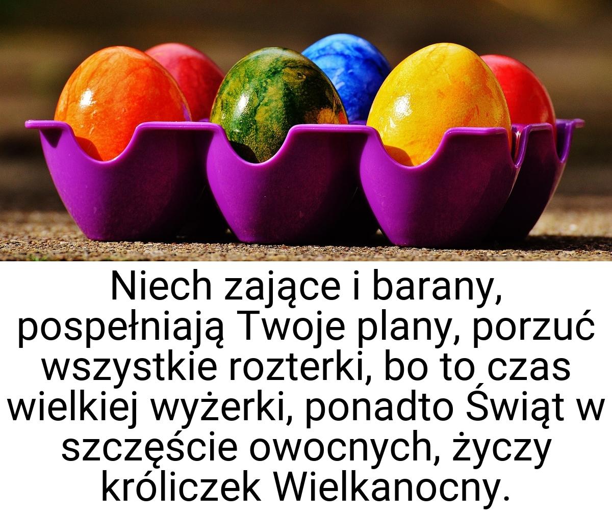 Niech zające i barany, pospełniają Twoje plany, porzuć