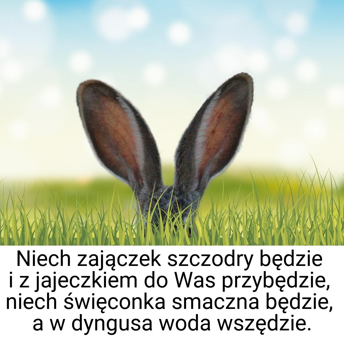 Niech zajączek szczodry będzie i z jajeczkiem do Was