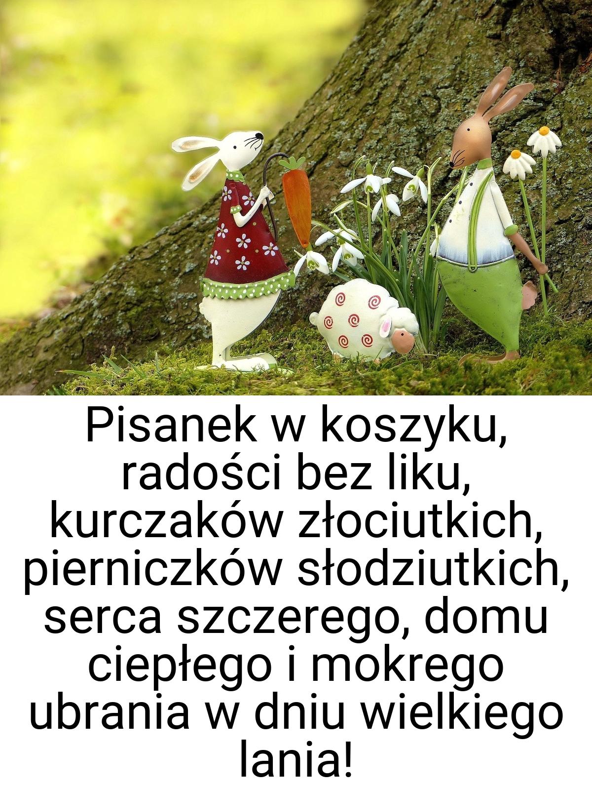 Pisanek w koszyku, radości bez liku, kurczaków złociutkich