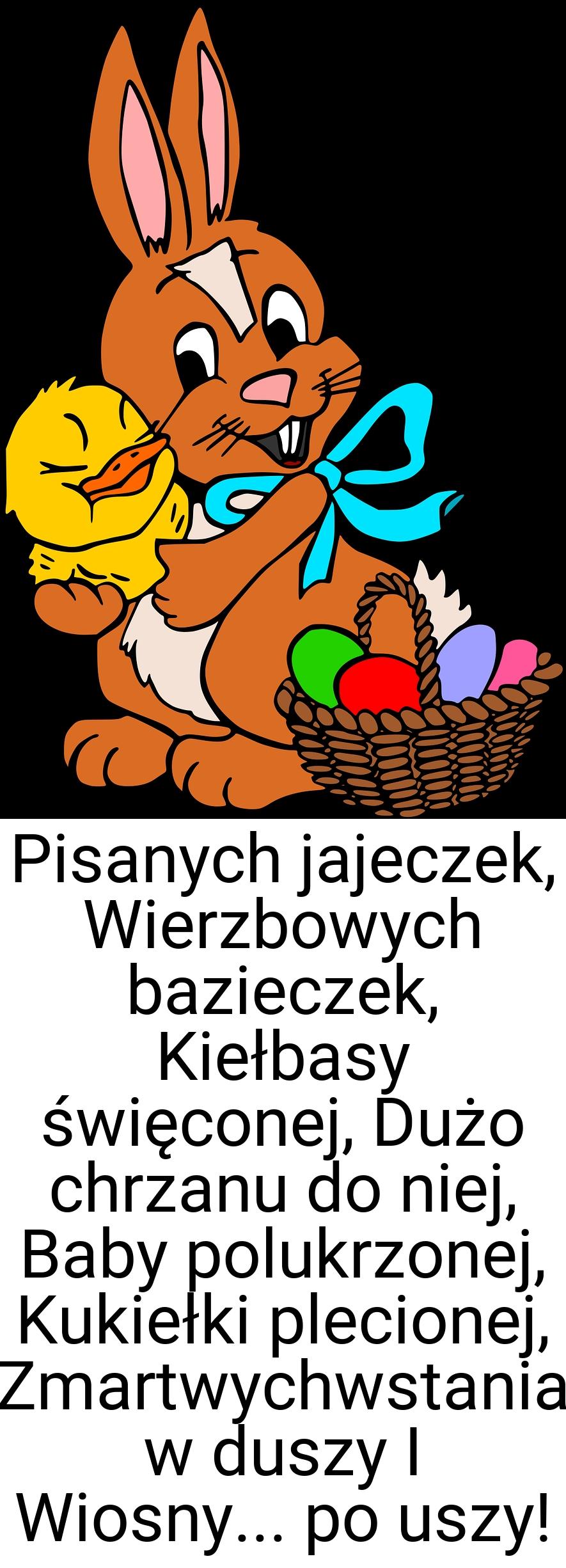 Pisanych jajeczek, Wierzbowych bazieczek, Kiełbasy