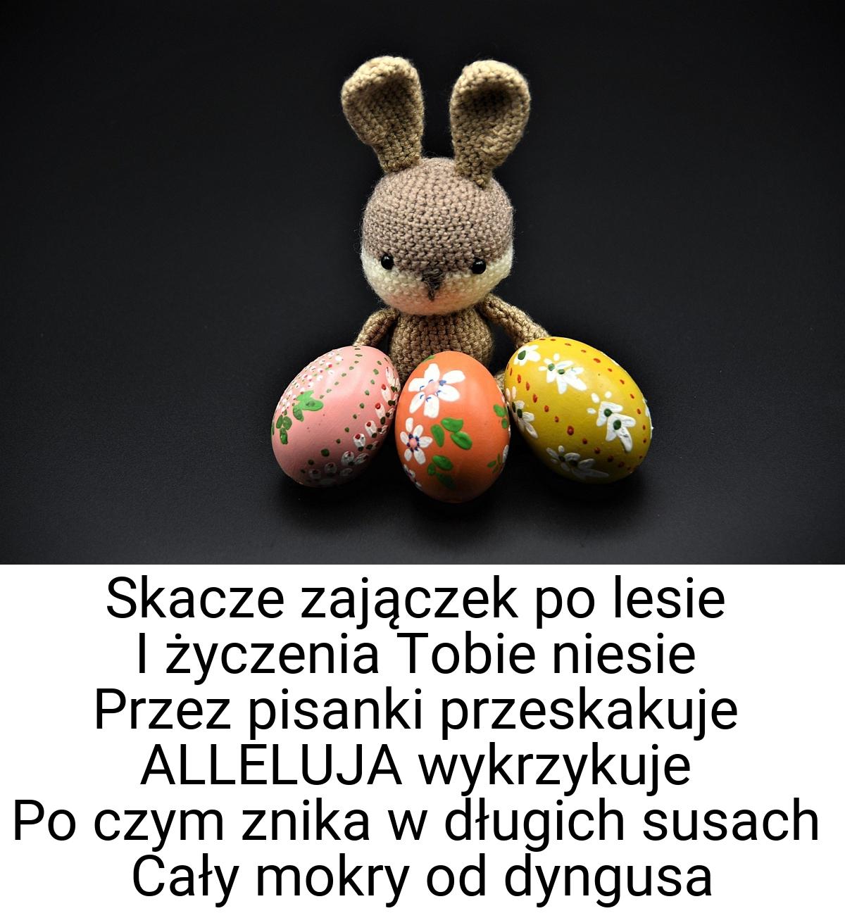 Skacze zajączek po lesie I życzenia Tobie niesie Przez