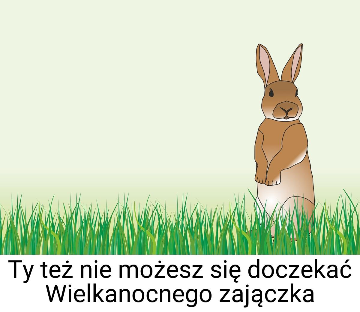 Ty też nie możesz się doczekać Wielkanocnego zajączka