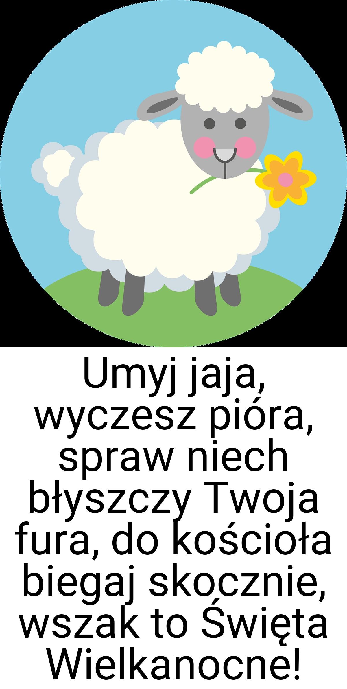 Umyj jaja, wyczesz pióra, spraw niech błyszczy Twoja fura