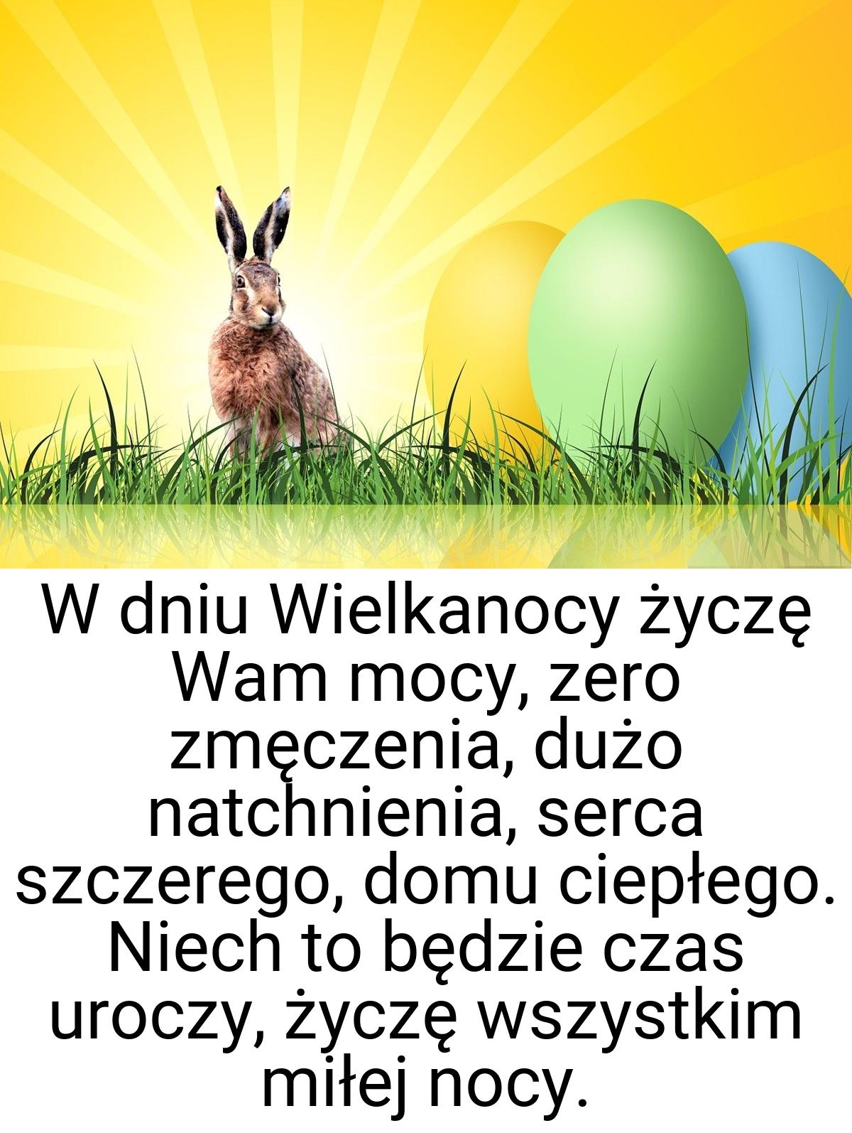 W dniu Wielkanocy życzę Wam mocy, zero zmęczenia, dużo