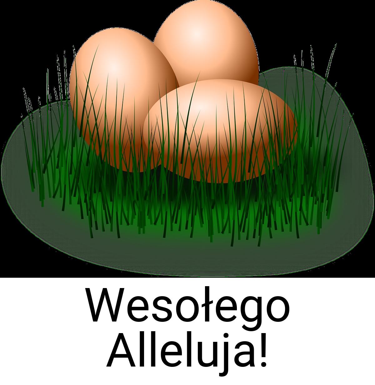 Wesołego Alleluja