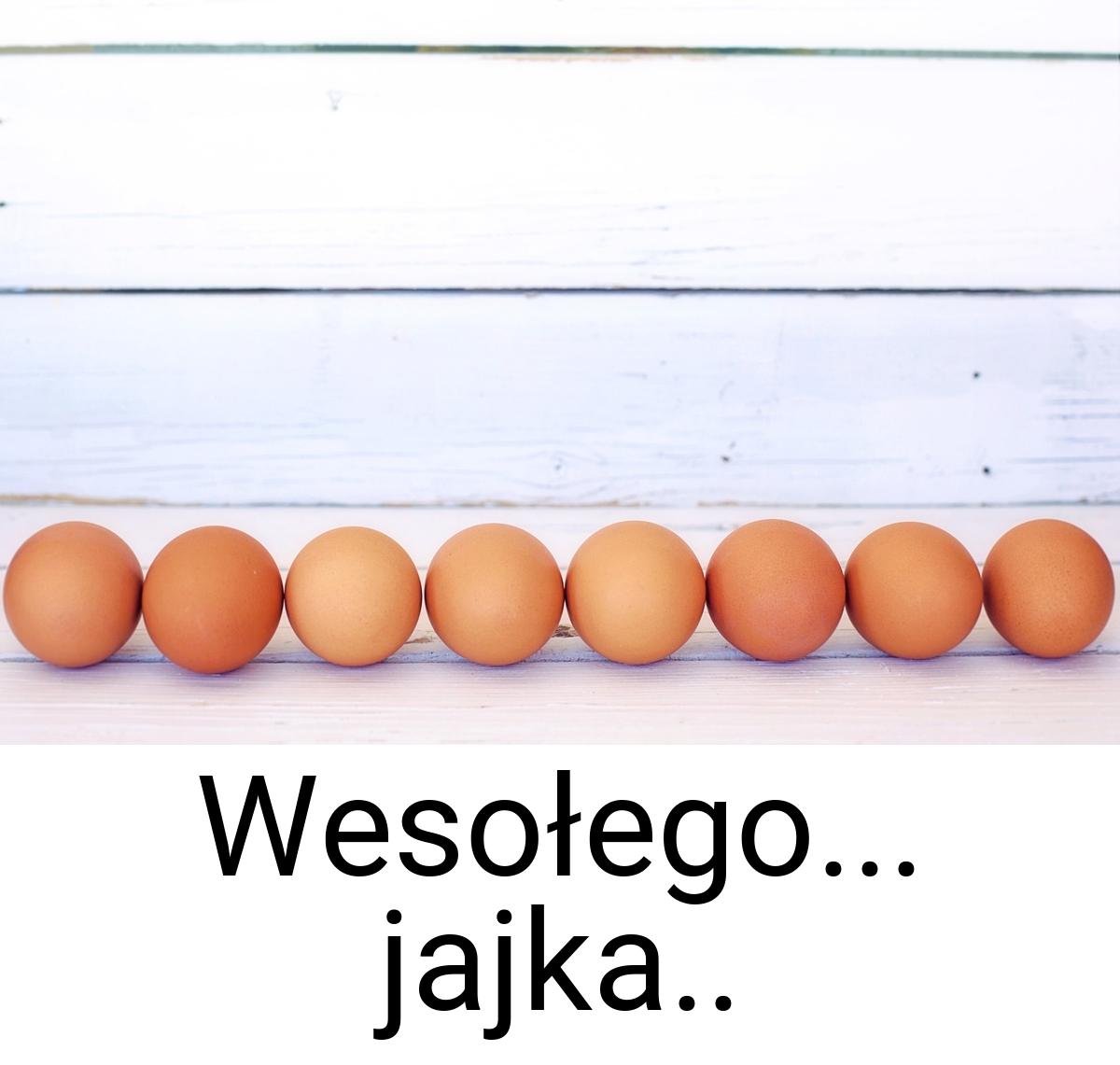 Wesołego... jajka