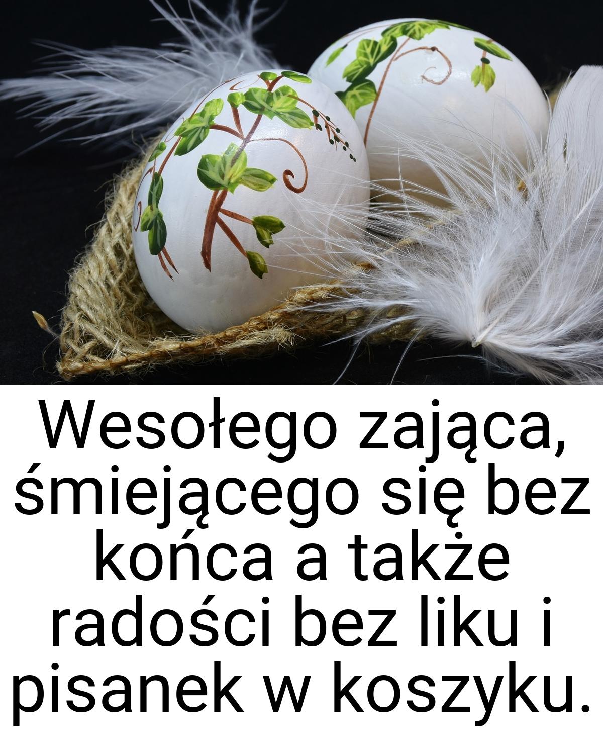 Wesołego zająca, śmiejącego się bez końca a także radości