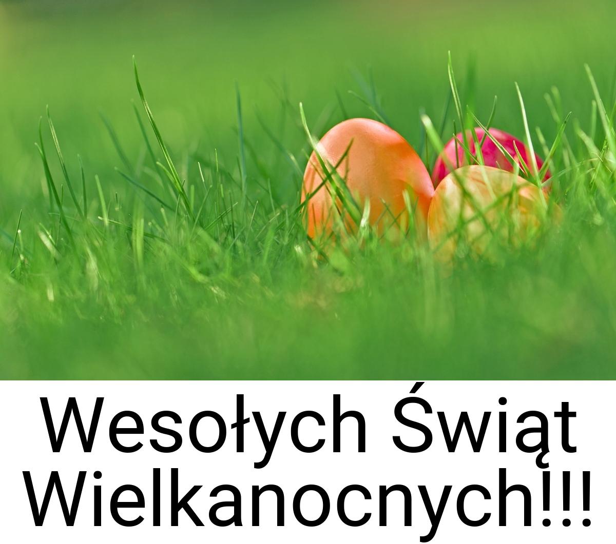 Wesołych Świąt Wielkanocnych