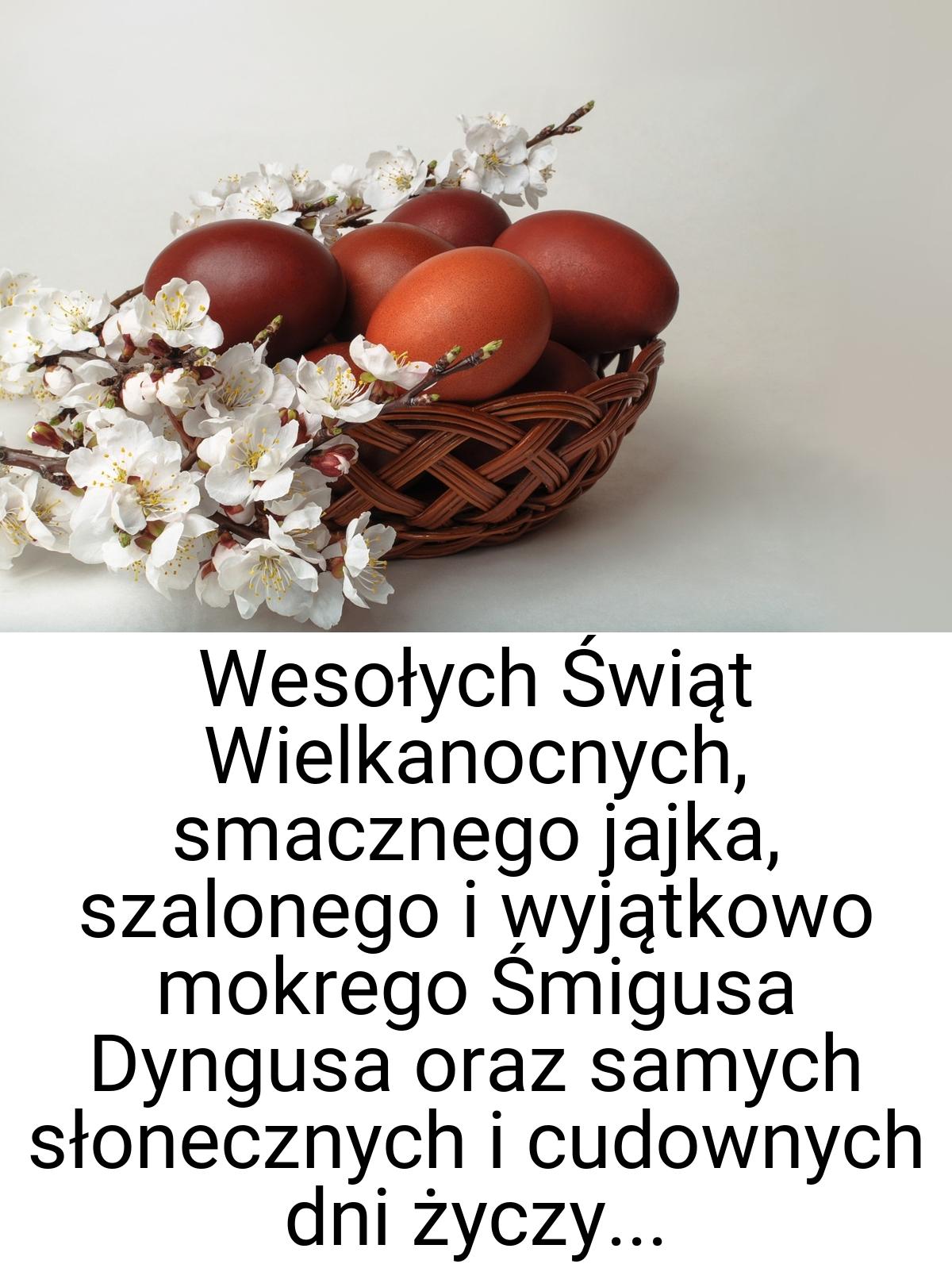 Wesołych Świąt Wielkanocnych, smacznego jajka, szalonego i