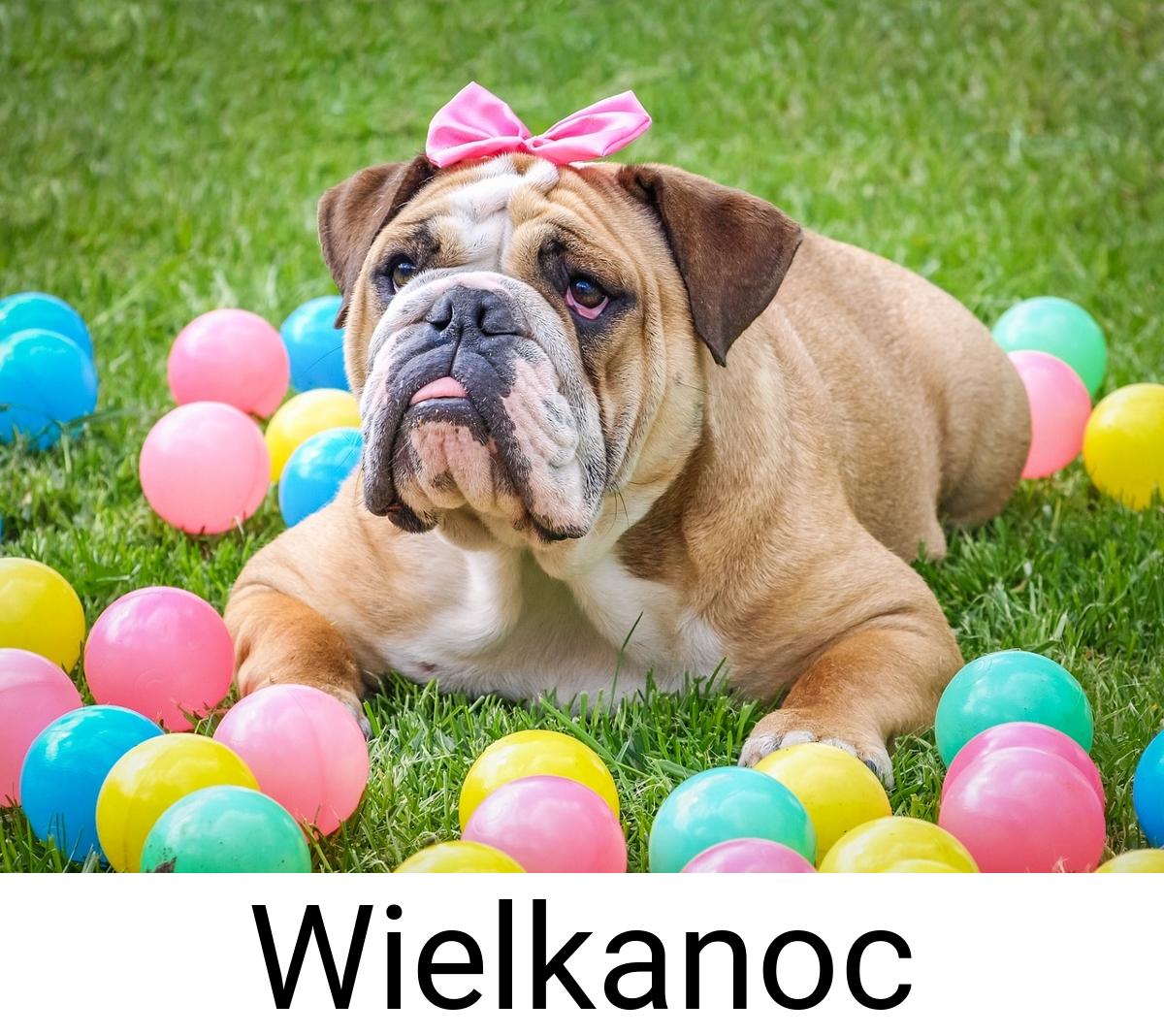 Wielkanoc