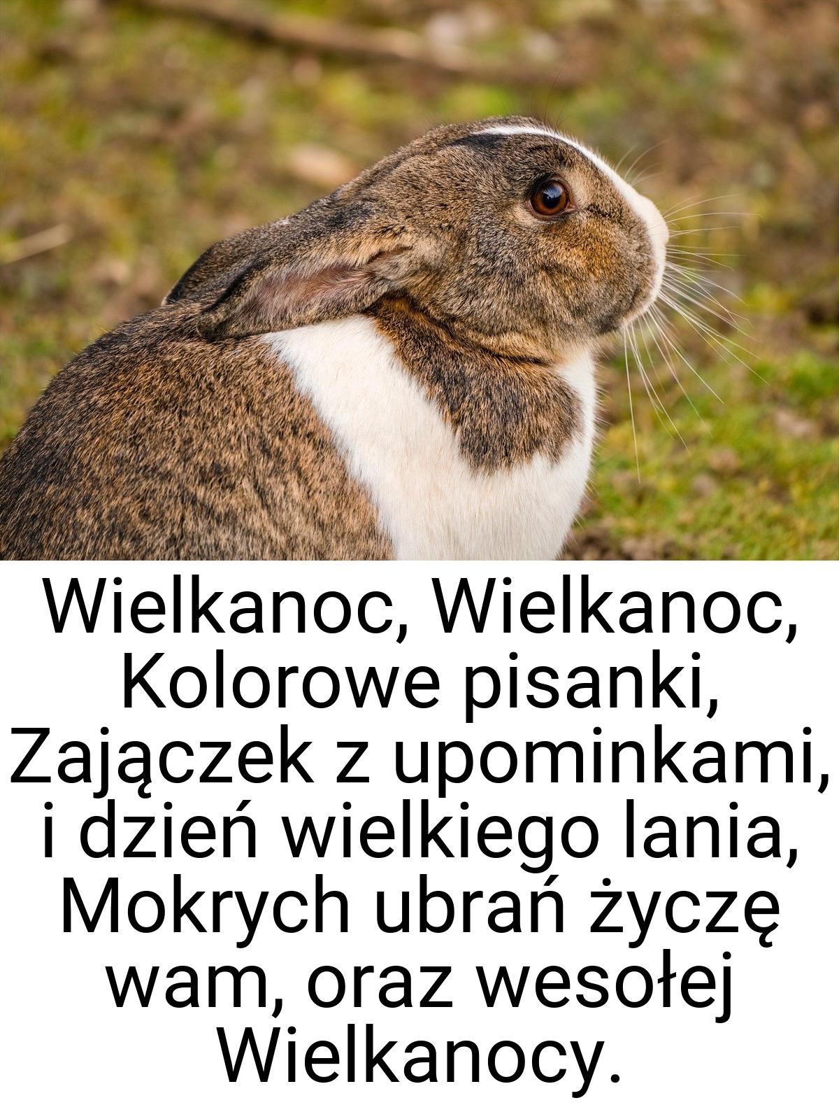 Wielkanoc, Wielkanoc, Kolorowe pisanki, Zajączek z