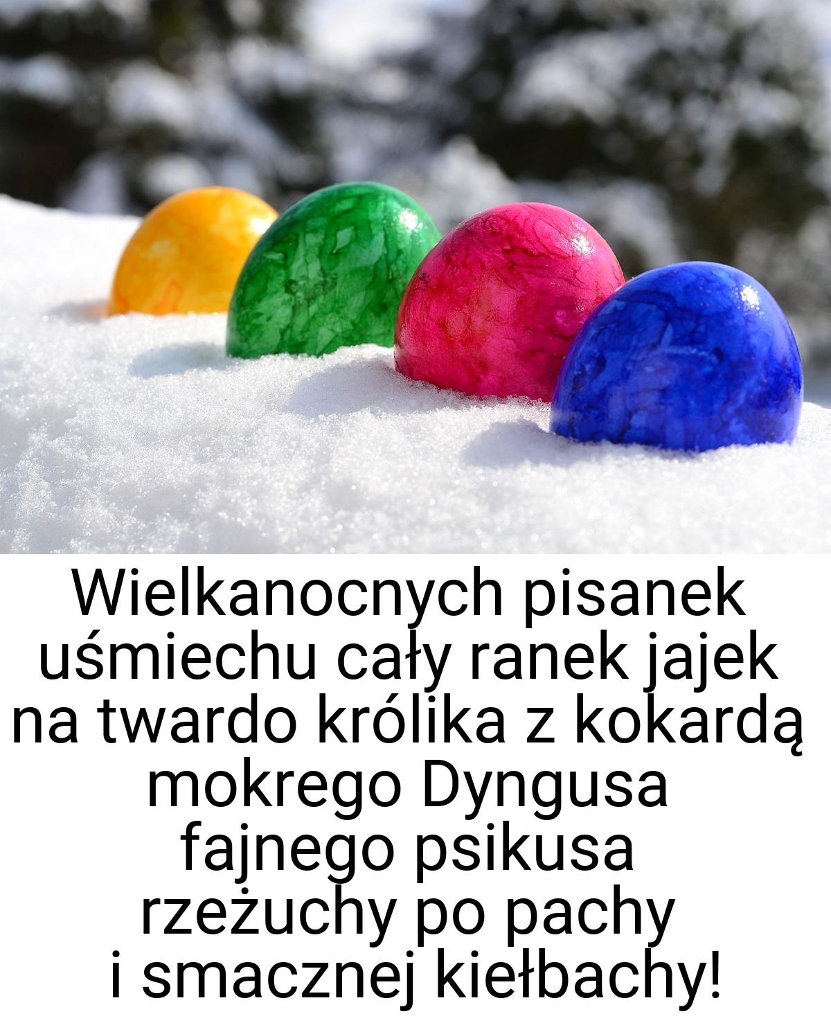 Wielkanocnych pisanek uśmiechu cały ranek jajek na twardo